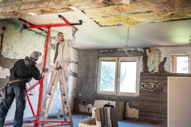 Best Cellulose Insulation in Lyndonville, VT